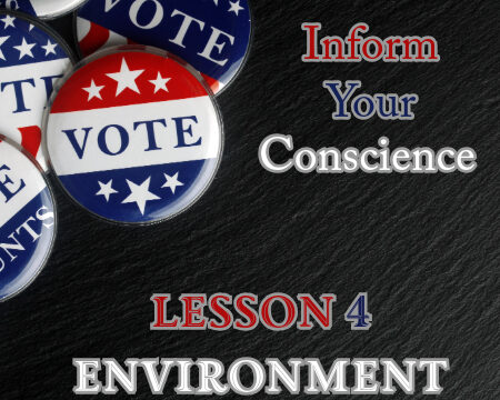 Inform Your Conscience 4 - Environment