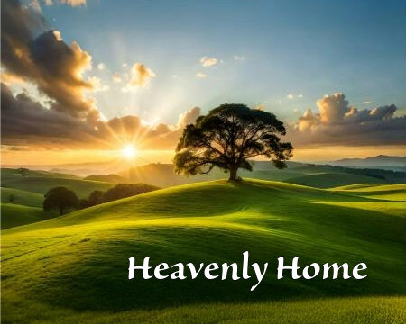 Heavenly Home